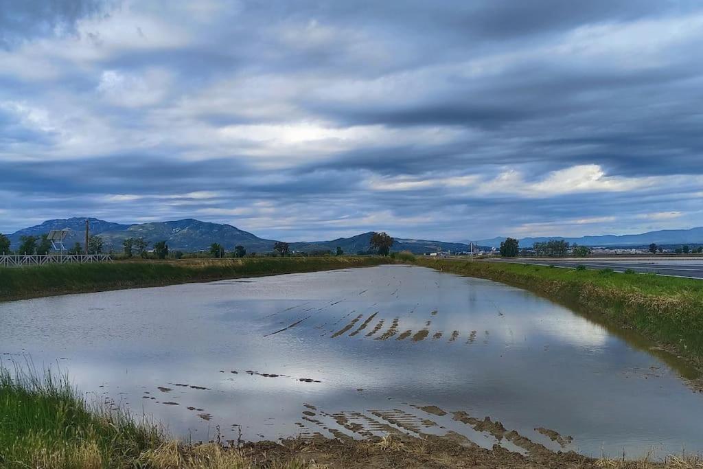 Casilla Mas D'Avall Deltebre Bagian luar foto