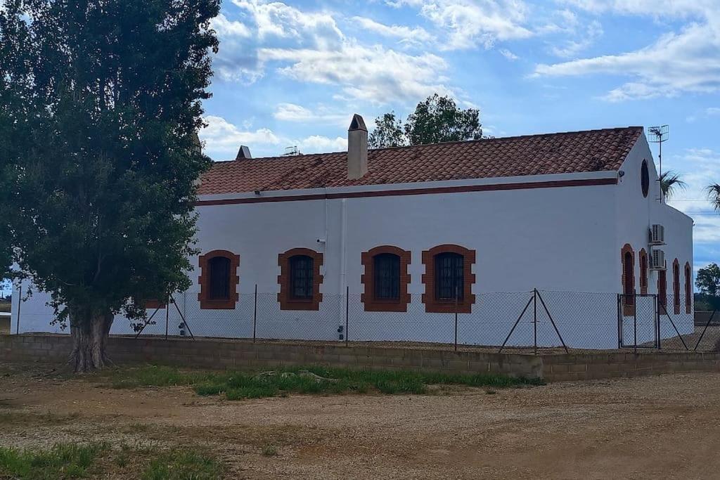 Casilla Mas D'Avall Deltebre Bagian luar foto