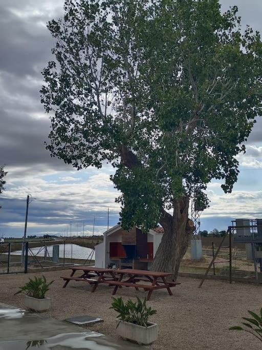 Casilla Mas D'Avall Deltebre Bagian luar foto